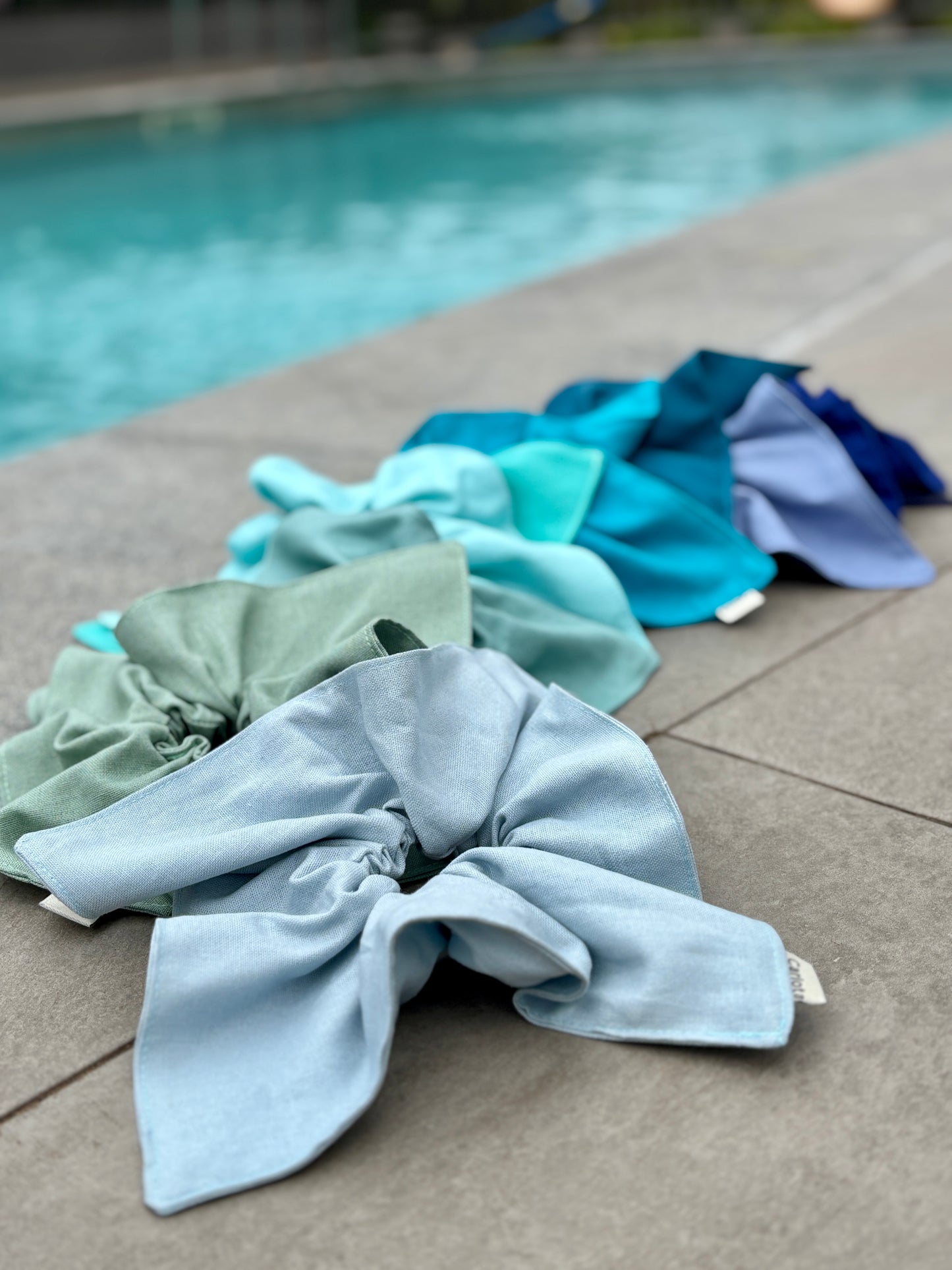 Magnolia Azul Marino