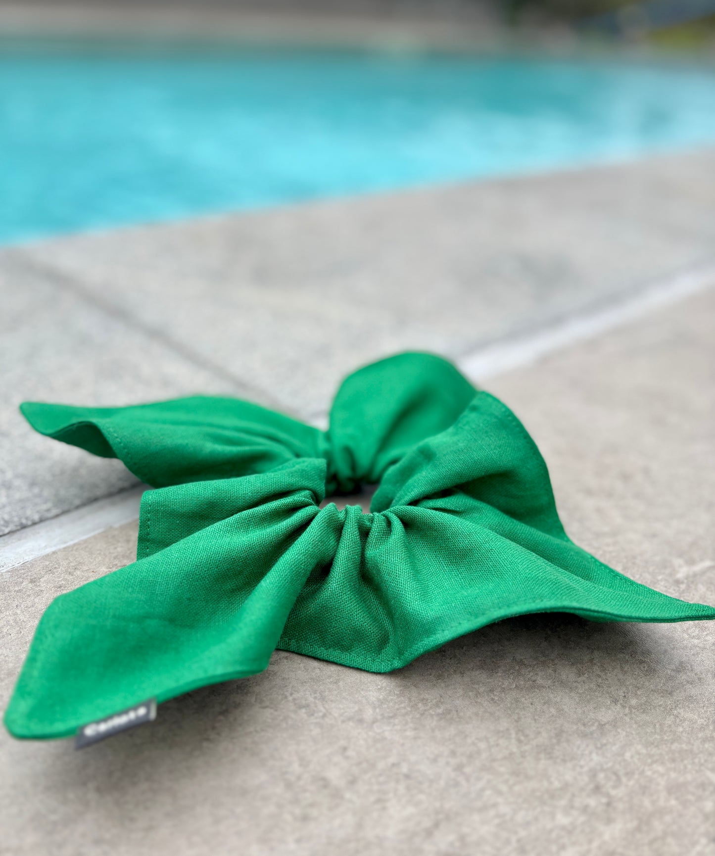 Magnolia Verde