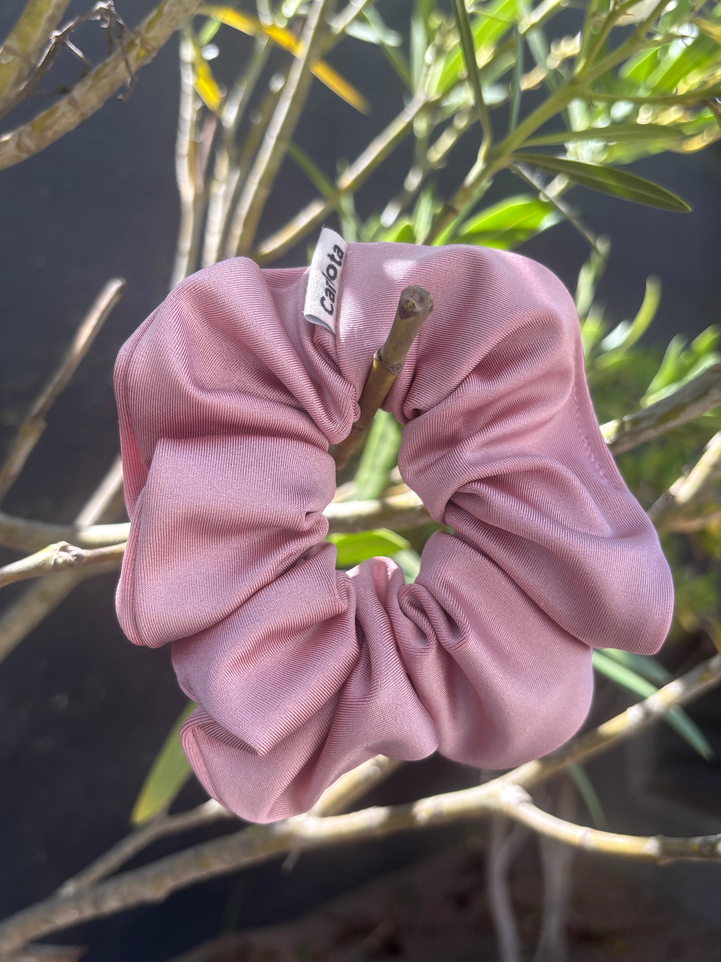 Dalia Rosa